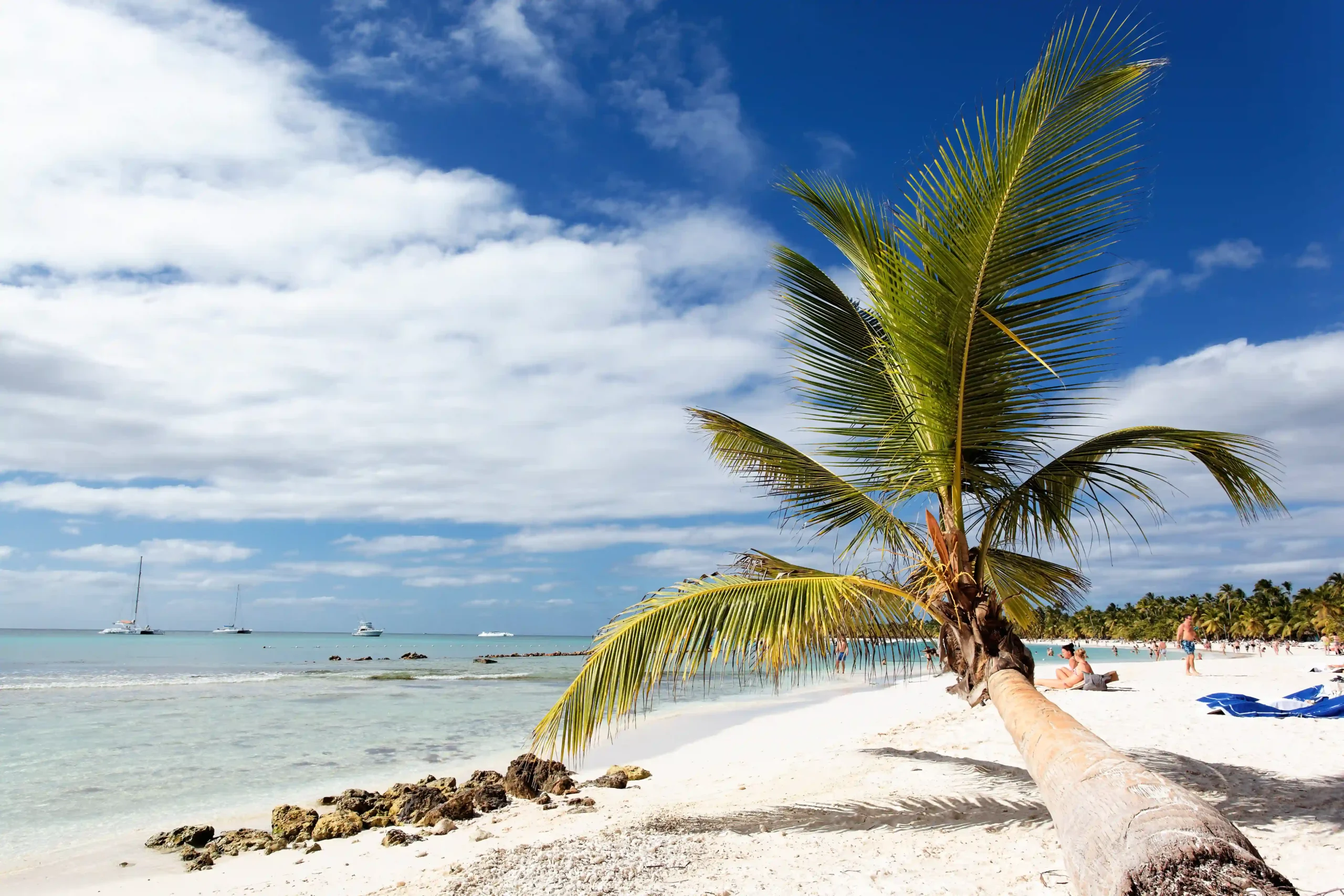 palm-tree-caribbean-beach-with-clouds